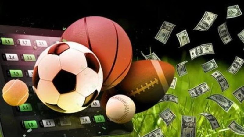 Cược thể thao tại Nhatvip nền tảng giải trí hàng đầu hiện nay